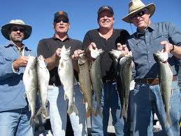 tahoe buoy and mooring service